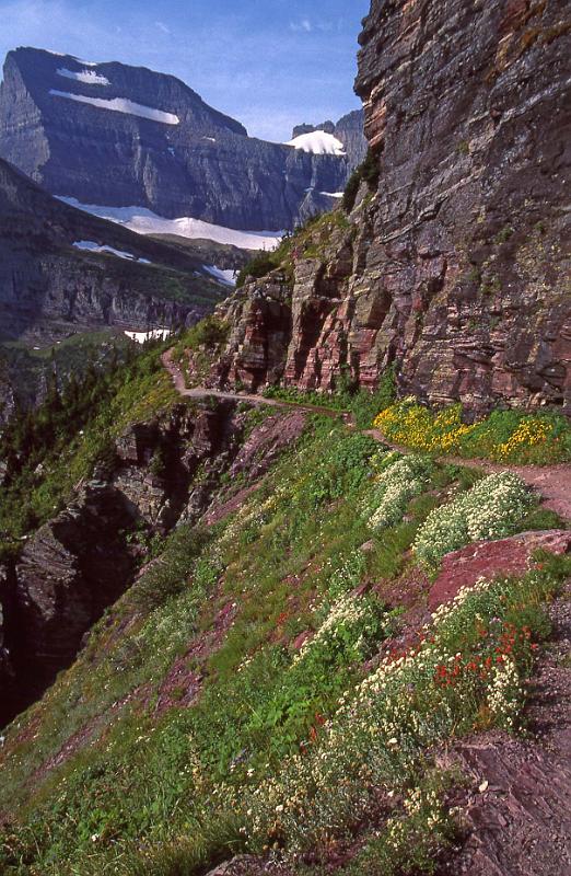 Glacier NP Aug-1990 Iceberg Lake Hike.jpg